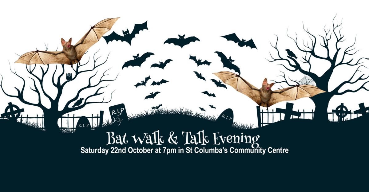 Bat Walk and Talk Kilflynn